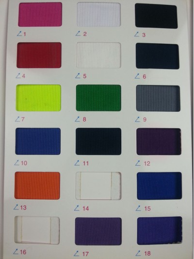 GZ-CIWI  2*2羅紋  NT-D304  380G 45度照